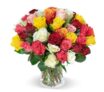 Blumenstrauß Crazy in Love mit 35 bunten Rosen für nur 25,98€ inkl. Lieferung