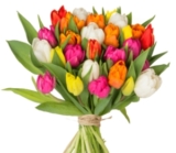 51 bunte Tulpen für 24,98 Euro inkl. Versand bei Blumeideal