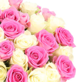 Blumenstrauß „CandyCotton“ mit 50 weiß-pinke Rosen für nur 35,48€