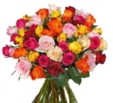 Blumenstrauß mit 50 bunten Rosen für 25,45 Euro bei Blumeideal