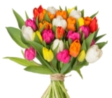 Blumenstrauß „ColourSplash“ mit 51 Tulpen für nur 22,98 Euro