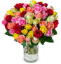 Blumenstrauß mit 41 bunten Rosen “Crazy Christmas” für nur 25,98 Euro bei Blumeideal