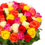 Blumenstrauß Crazy Colors mit 31 Rosen für nur 23,98€ inkl. Lieferung