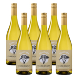 Die Weinbörse: 50% Extra-Rabatt auf ausgewählte Sommerweine + gratis Versand!