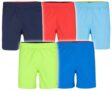 Falcon Lex Herren Badehosen in verschiedenen Farben nur 4,99 Euro inkl. Versand