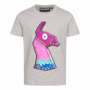 Fortnite Loot Lama Kinder T-Shirt