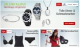 Verschiedene neue Rabattaktionen bei den Galeria Kaufhof Sonntagsangeboten am 24. Januar