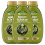 3x 250ml Garnier Wahre Schätze Shampoo Mythische Olive für nur 5,19€ (statt 7€) – Prime Spar-Abo