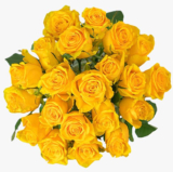 Strauß „YellowJewels“ mit 24 gelben Rosen für nur 18,94 Euro inkl. Lieferung