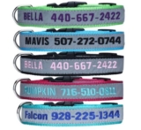 Personalisiertes Hundehalsband (reflektierend) von TaiHong für nur 5,49€ inkl. Versand