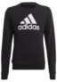 Adidas KIDS SWEATER G für nur 19,98€ (statt 35€)