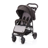 fill Sportwagen Rider für nur 79,99 Euro inkl. Lieferung (statt 110,- Euro)