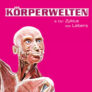 Tickets für die KÖRPERWELTEN Ausstellung in Köln-Ehrenfeld ab nur 15,75€ (statt 24,99€)