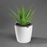 Selbstgießender LazyLeaf Blumentopf für nur 22,94 Euro (statt 37,- Euro)