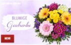20% Rabatt durch einen Gutscheincode auf alles bei Lidl-Blumen.de