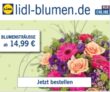 10% Rabatt auf Alles bei Lidl-Blumen ohne Mindestbestellwert
