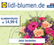 Nur heute am Freitag den 13. bei LIDL Blumen 13% Rabattgutschein auf das gesamte Sortiment