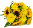 Blumenstrauß Sunshine Love mit je 7 Sonnenblumen & Chrysanthemen für nur 20,98 Euro