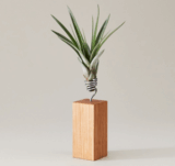 Richtig schicke Blumen mit 10,- Euro Rabatt durch Gutscheincode bei EVRGREEN