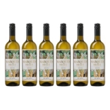 6 Flaschen Marques de Cus Verdejo Weißwein (2022, Spanien) für nur 29,94€