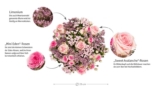 [MIFLORA] Preisfehler?! Sträuße Bellissima und Funkenfeuer durch Gutscheincode nur 17,- Euro inkl. Lieferung statt 35,80 Euro