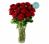 Strauß mit 17 Red Naomi Rosen bei Miflora für nur 19,89 Euro frei Haus