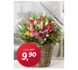 [MIFLORA.DE] Bunter Tulpenstrauss von Miflora für nur 14,80 Euro inkl. Versandkosten!