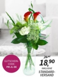 [MIFLORA] BLUMENARRANGEMENT – PHAENOMENA für nur 18,90 Euro inkl. Versand