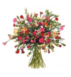 44 Spray-Nelken mit 200 Blüten für 20,94 Euro bei BlumeIdeal