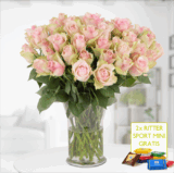 40 Pastell Rosen (40cm) + 2 gratis RitterSport Mini für nur 24,90 Euro inkl. Lieferung