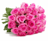 Blumenstrauß mit 44 pinken Rosen nur 24,98 Euro inkl. Versand
