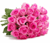 Blumenstrauß PinkDiamonds mit 28 pinken Rosen für nur 19,98 Euro inkl. Versand