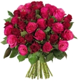 41 rote und pinkte Rosen für 24,98 Euro inkl. Zustellung bei BlumeIdeal