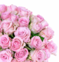 Strauß mit 40 pinken Rosen für nur 25,98€ inkl. Lieferung (statt 36€)