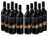 12er-Paket Pluvium Premium Selection – Bobal Cabernet – Valencia DO für nur 39,99 Euro