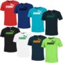 Puma Herren T-Shirts in verschiedenen Farben nur 15,90 Euro inkl. Versand