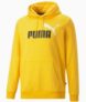 Puma Herren Hoodie Tangerine – Forest Night – Lake Blue (XS-XL) für nur 31,96€ (statt 37€)