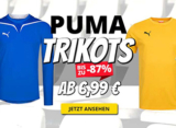 Viele verschiedene Trikots von Puma zu stark reduzierten Preisen bei SportSpar