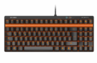 Mechanische RAPOO V500S Gaming Tastatur für 29,- Euro