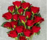 Blumenstrauß Red Velvet mit 25 roten Rosen für nur 19,98 Euro inkl. Versand