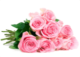 Blumenstrauß „MagicalMoments“ mit 26 rosa Rosen für nur 19,98 Euro inkl. Versand