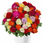 39 bunte Rosen Pretty Rainbow für unr 22,94 Euro inkl. Zustellung