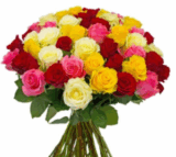 Blumenstrauß mit 37 Rosen „HappyNewYear“ für nur 21,98 Euro inkl. Lieferung.