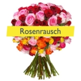 Top! Strauß mit 34 bunten Rosen (50cm) für nur 19,94 Euro inkl. Zustellung
