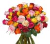 Blumenstrauss Colourful Roses mit 41 bunten Rosen für nur 22,98 Euro inkl. Versand