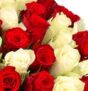 Rosenstrauß mit 50 Rosen in Rot und Weiß für nur 29,98€ (statt 46,98€)