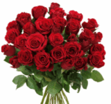 Blumenstrauß mit 44 roten Rosen für 24,98 Euro inkl. Versand