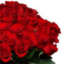 44 rote Rosen (40 cm Stiellänge) für nur 27,48€ inkl. Lieferung