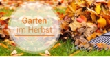 Herbstsale bei D-Living mit bis zu 30,- Euro Rabatt durch Gutscheincode!