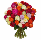 Rosenstrauß ShinyRoses mit 39 bunten Rosen nur 22,98 Euro inkl. Zustellung